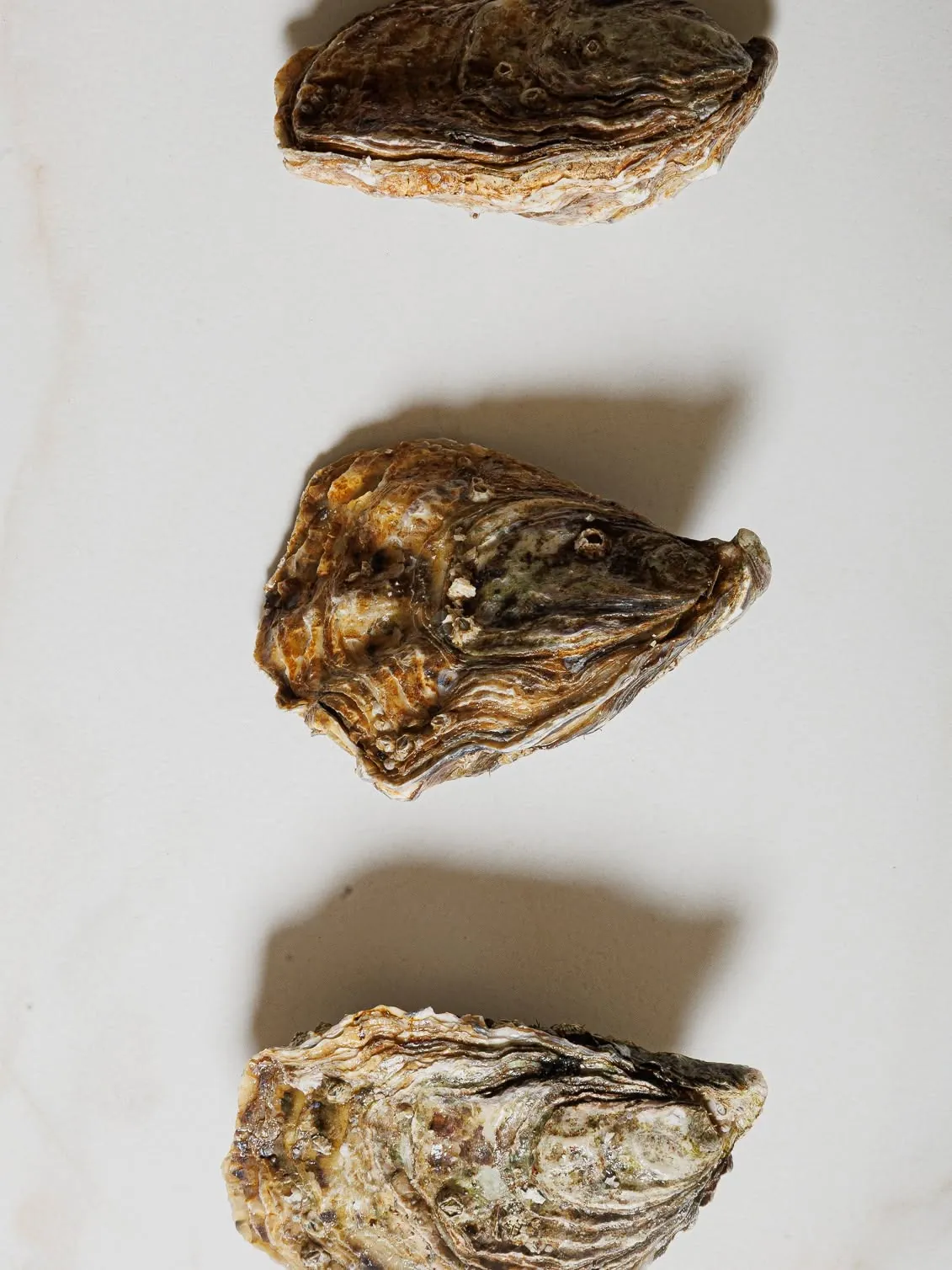 Three Gillardeau oysters on white marble